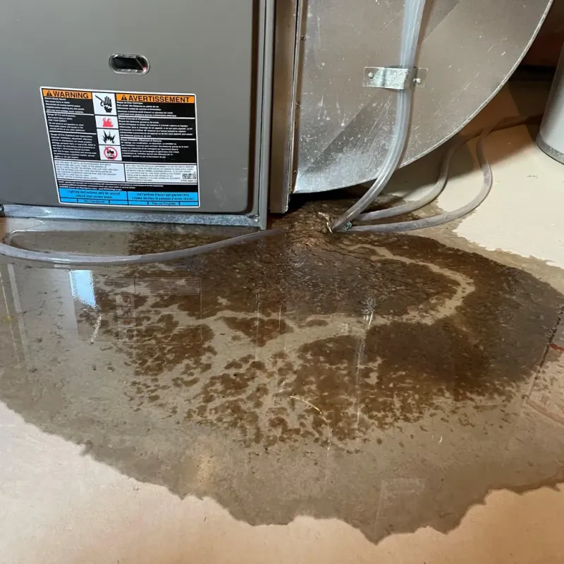 Appliance Leak Cleanup in Madison County, NE